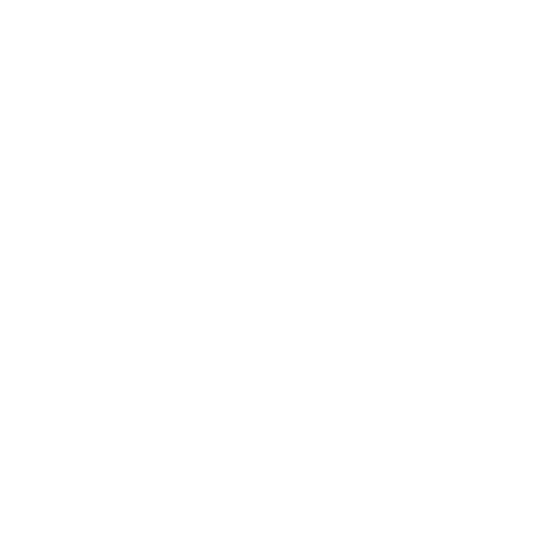 Logo Simstore